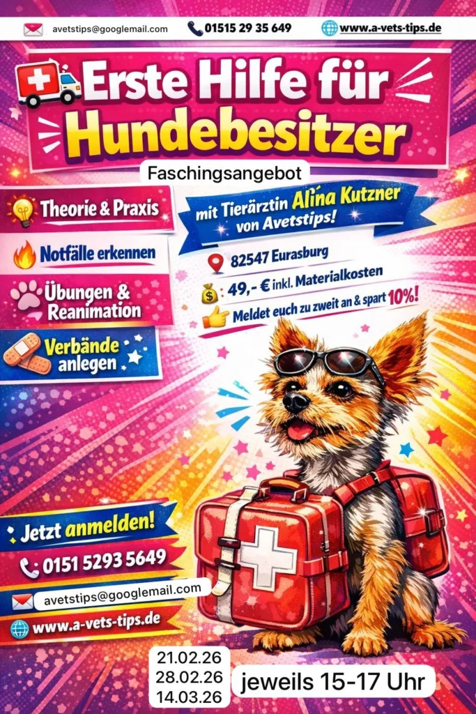 Flyer Faschingsangebot